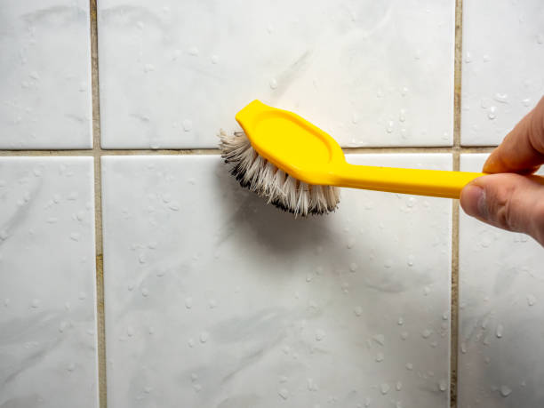 Best Commercial Mold Remediation in Paincourtville, LA